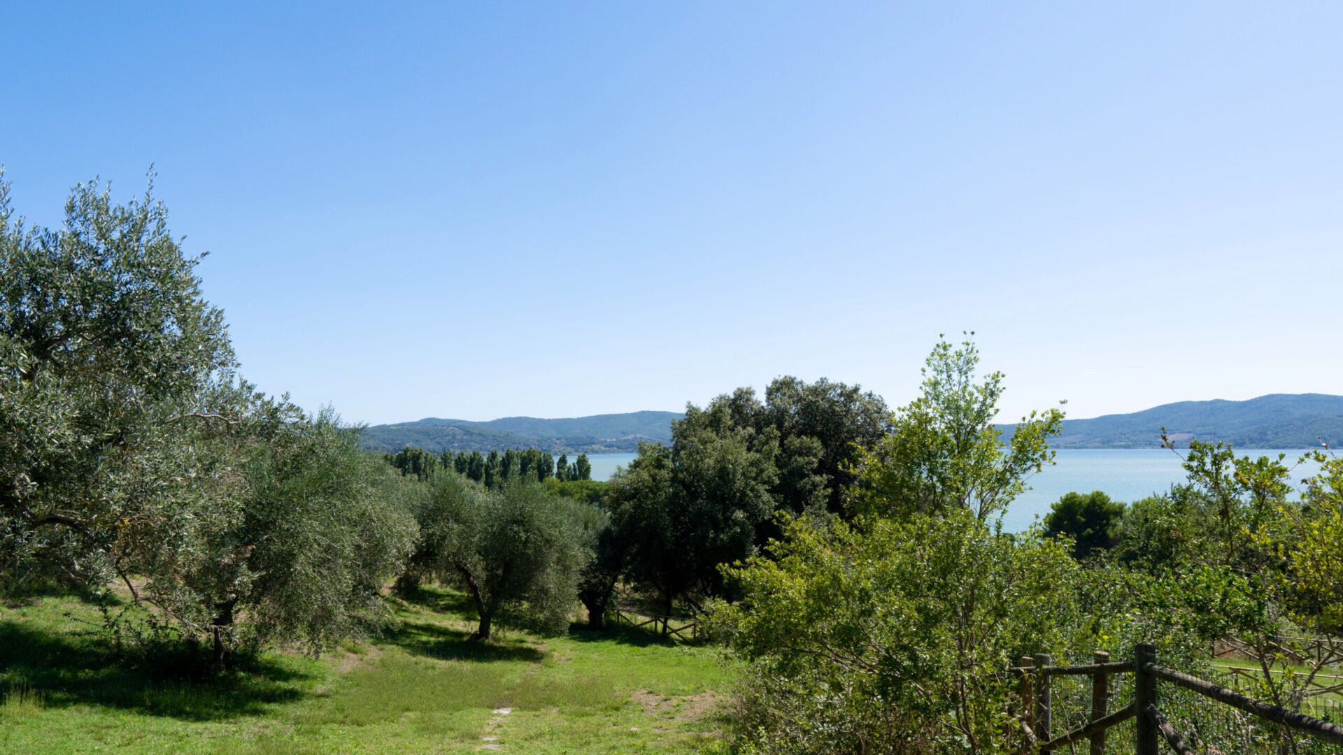 Isola Polvese Lago Trasimeno a San Feliciano PG Perugia Umbria in Camper con LPDM Le Puntime del Mondo
