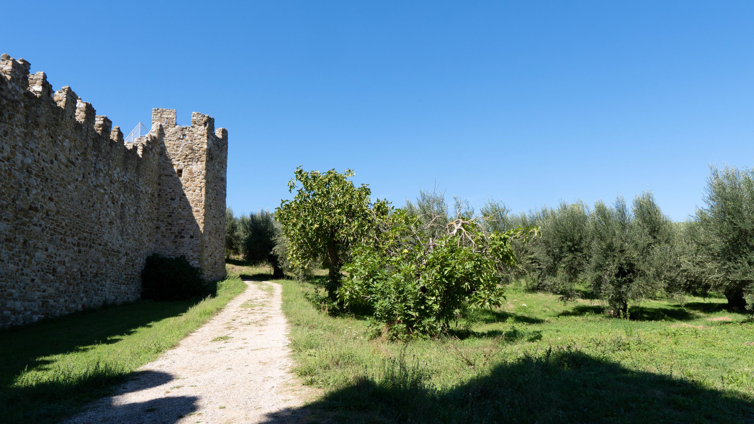 Isola Polvese Lago Trasimeno a San Feliciano PG Perugia Umbria in Camper con LPDM Le Puntime del Mondo