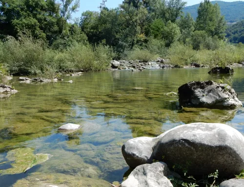 Area Sosta Camper a Tolmin in Slovenia